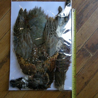 画像1: 【CANAL】 Cock Pheasant コンプリート