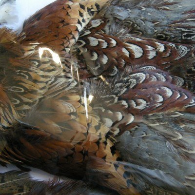 画像2: 【CANAL】 Cock Pheasant コンプリート