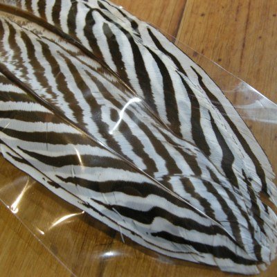 画像2: 【CANAL】 SILVER PHEASANT QUILL