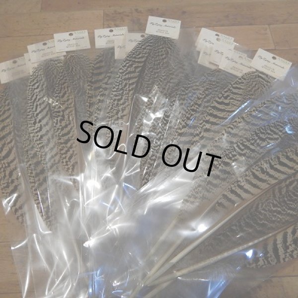 画像1: 【ANGLE】 PEACOCK QUILLS AAAグレード (1)