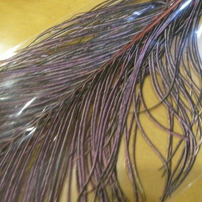 画像2: 【CANAL】 PEACOCK EYE RED