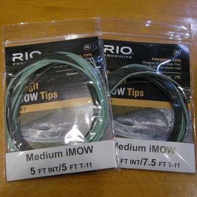 画像1: 【RIO】 InTouch Skagit Medium iMow Tip