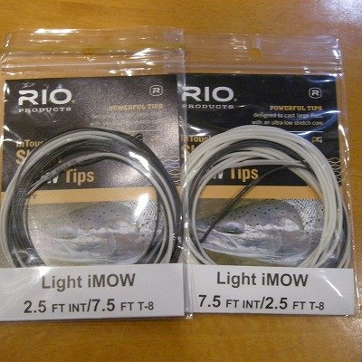 画像1: 【RIO】 InTouch Skagit Light iMow Tip