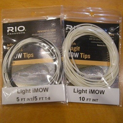 画像2: 【RIO】 InTouch Skagit Light iMow Tip