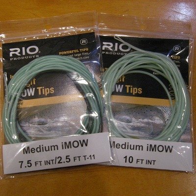 画像2: 【RIO】 InTouch Skagit Medium iMow Tip