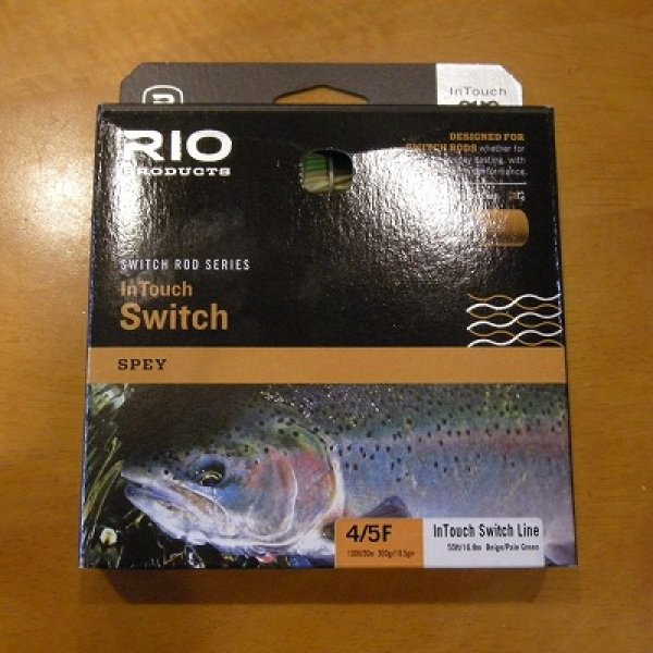 画像1: 【RIO】 InTouch Switch (1)