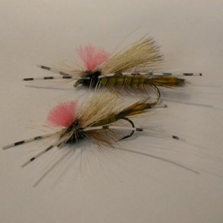 ANGLE】 ラムズウール