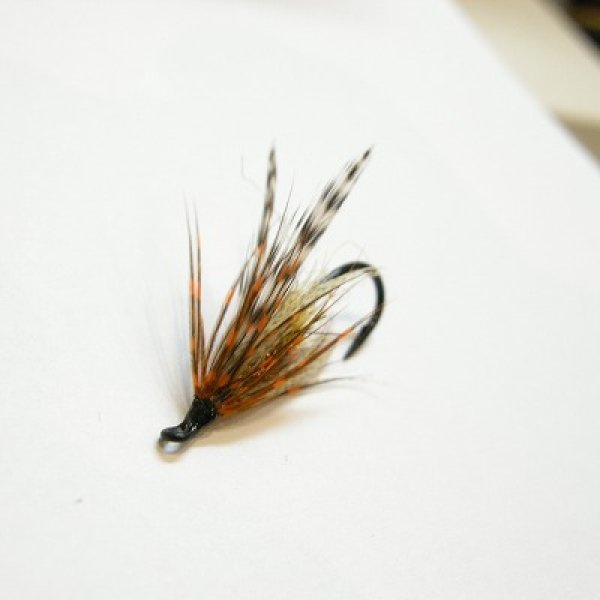 画像3: 【Aqua Flies】Hartwick's Brown Hilton Brown/Orange (3)