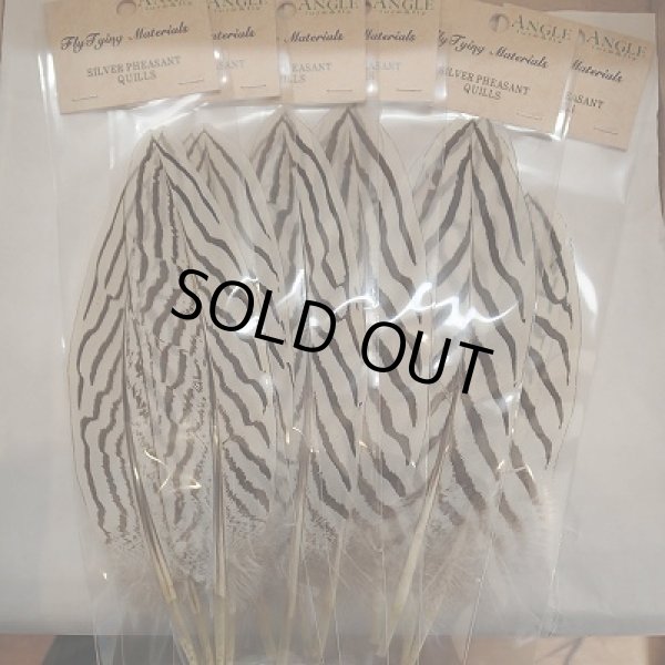 画像1: 【ANGLE】Silver Pheasant Quills (1)
