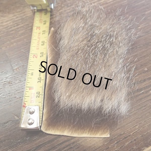 画像2: 【ANGLE】Wood Chuck (2)