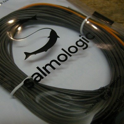 画像1: 【Salmologic】 Logic Head 31g/478grain (SALE)