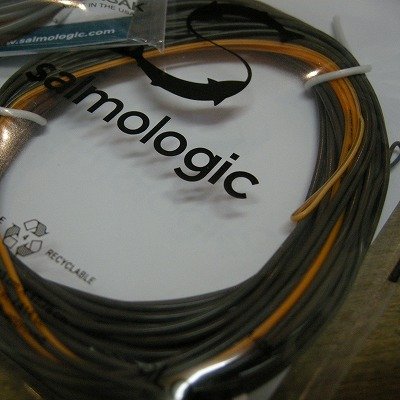 画像1: 【Salmologic】 Logic Head 18g/278grain(SALE)