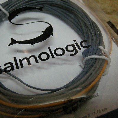 画像1: 【Salmologic】 Logic Head 16g/247grain(SALE)