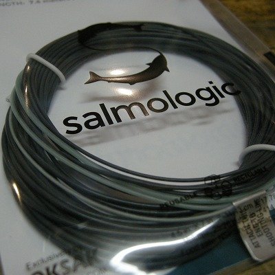 画像1: 【Salmologic】 Logic Head 26g/401grain(SALE)