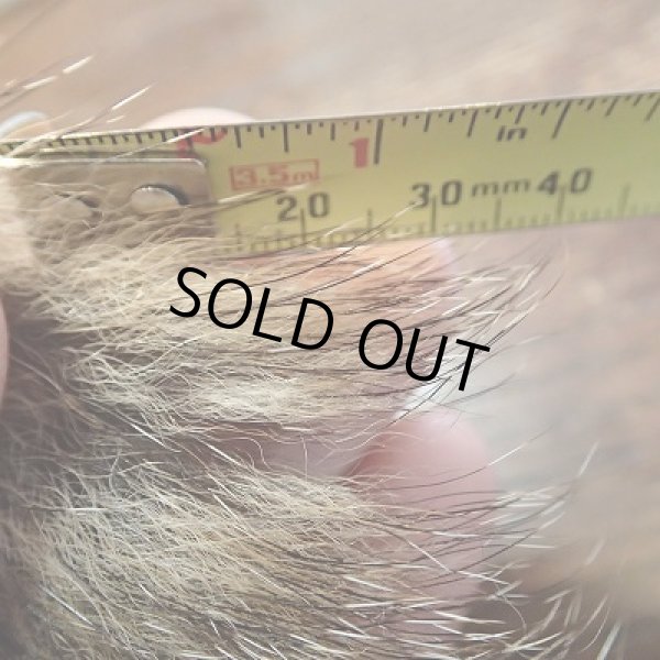 画像3: 【ANGLE】Wood Chuck (3)