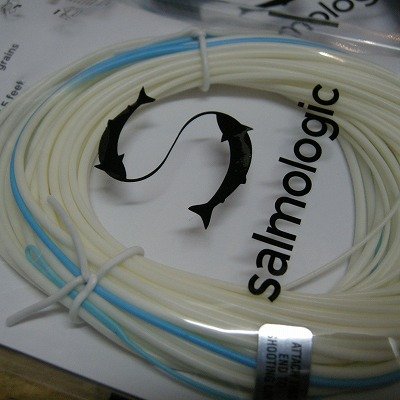 画像1: 【Salmologic】 Logic Head 22g/340grain(SALE)