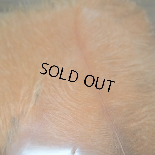 画像4: 【CANAL】Spey Plumes (4)