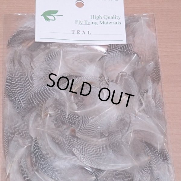 画像1: 【CANAL】TEAL バルクパック (1)