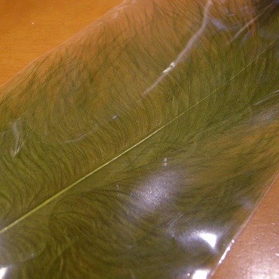 画像3: 【CANAL】 LARGE EAGLE MARABOU