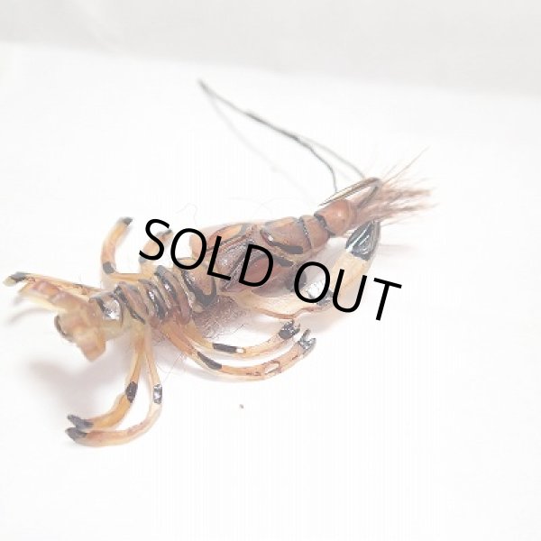 画像2: 【Spirit Riｖer】BUG PARTZ DECEPTIVE CRAY (2)