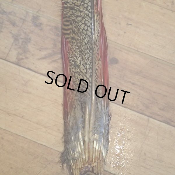 画像2: 【ANGLE】Golden Phesant Complete Tail  (2)