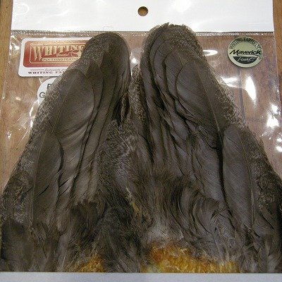 画像3: 【WHITING】 Brahma Hen Wing PRO-GRADE