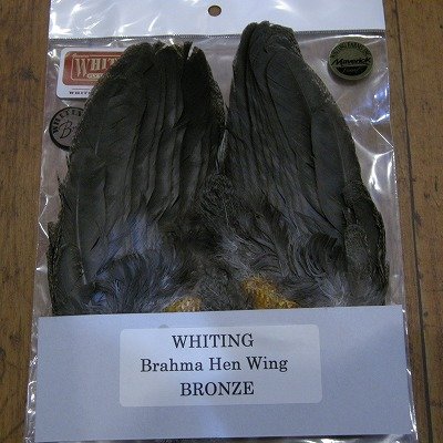 画像3: 【WHITING】 Brahma Hen Wing BRONZE GRADE