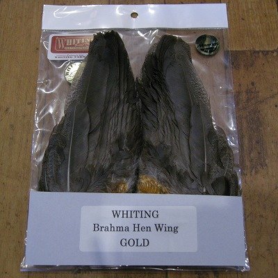 画像3: 【WHITING】 Brahma Hen Wing GOLD GRADE  