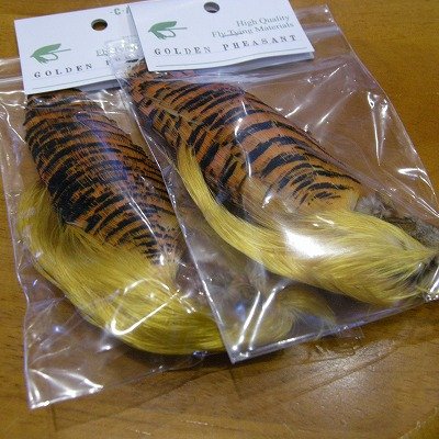 画像1: 【CANAL】 Golden Pheasant コンプリートヘッド