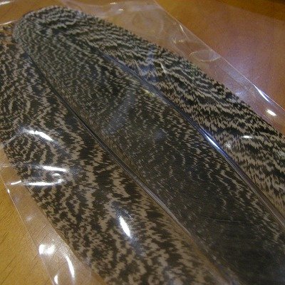 画像2: 【CANAL】 Peacock Quill Speckled M