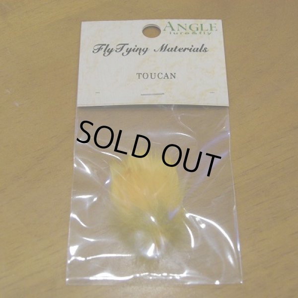 画像1: 【ANGLE】 TOUCAN (SUB) (1)