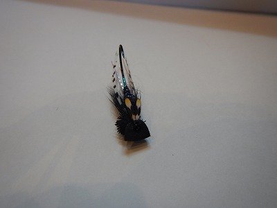 画像2: 【Aqua Flies】 KlamathSkater Black