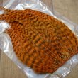 画像2: 【SweetFish】 Grizzly Spey Hackle (2)