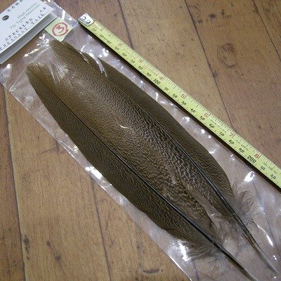 画像3: 【CANAL】 Speckled Pheasant Tail AA