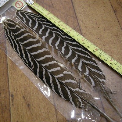 画像1: 【CANAL】 Speckled Pheasant Tail AA