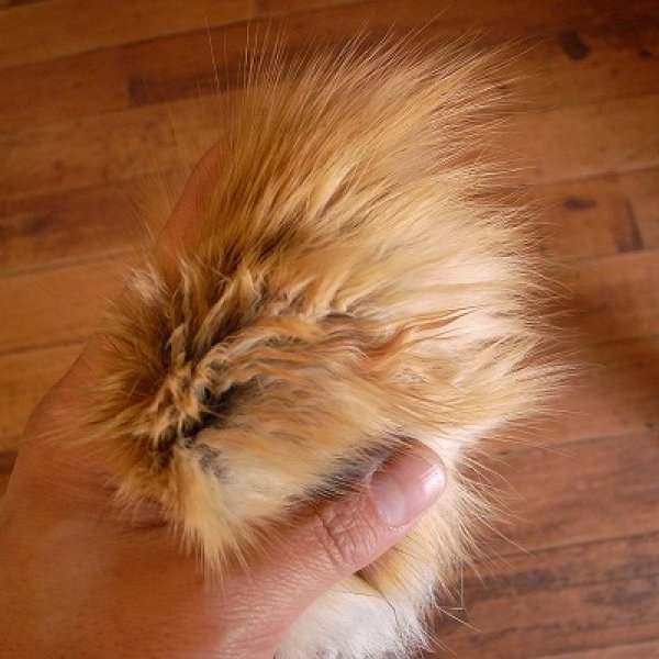 画像2: 【SPIRIT RIVER】 FOXMASK  (2)