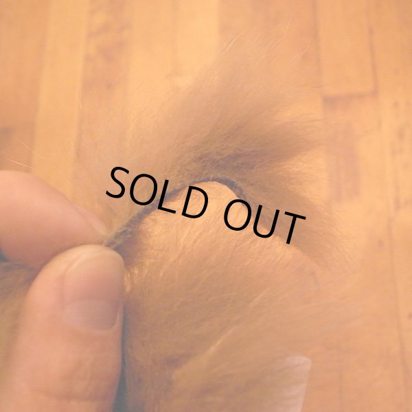 画像2: 【Tornado】　ポーラーフォックスゾンカー (2)