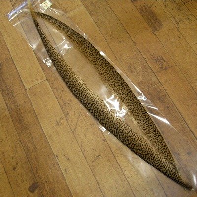 画像1: Golden Pheasant Tail  1ペア