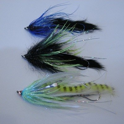 画像1: 【Aqua Flies】 Dirty Hoh (Chinook)