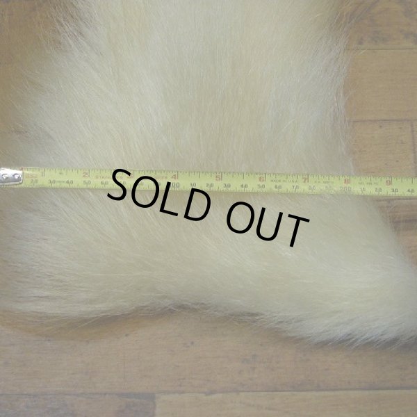 画像5: ポーラーベアー(徳用部位) (5)