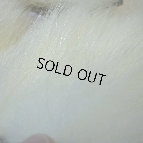 画像4: ポーラーベアー(徳用パック)(1) (4)