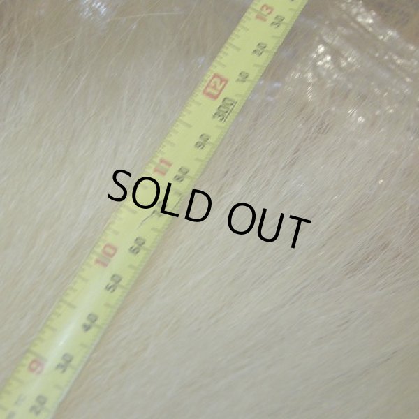 画像3: ポーラーベアー(徳用部位) (3)