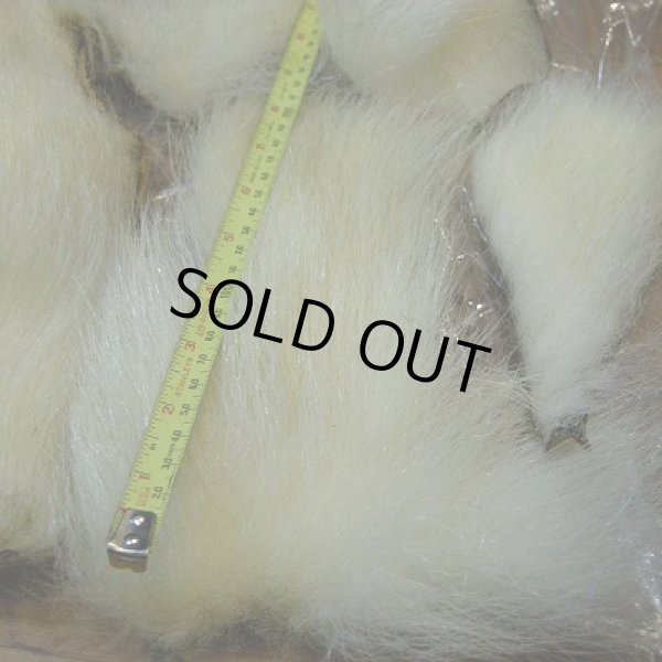 画像3: ポーラーベアー(徳用パック)(3) (3)