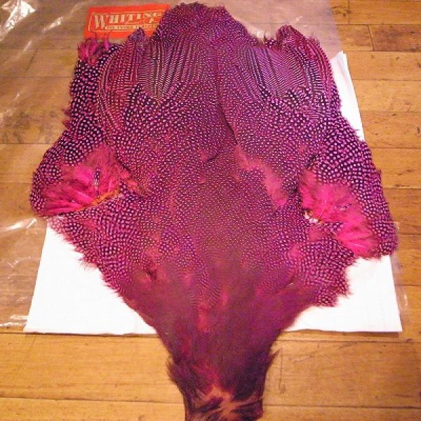 画像1: 【WHITING】 Guinea Fowl Large・コンプリート (Pink)  (1)