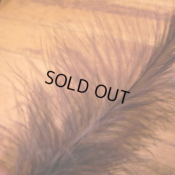 画像3: 【ANGLE】 Eagle Marabou (3)