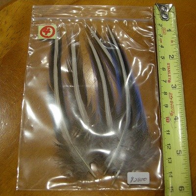 画像3: Vulturine Gallena Blue Elver Hackles Lサイズ  