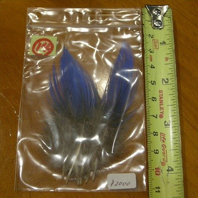 画像3: Vulturine Gallena Blue Neck Feathers 