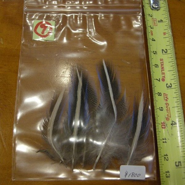 画像11: Vulturine Gallena Blue Elver Hackles Sサイズ (11)