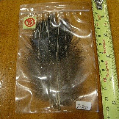 画像3: Vulturine Gallena Speckled Elver Hackles