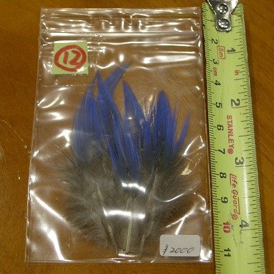 画像1: Vulturine Gallena Blue Neck Feathers 